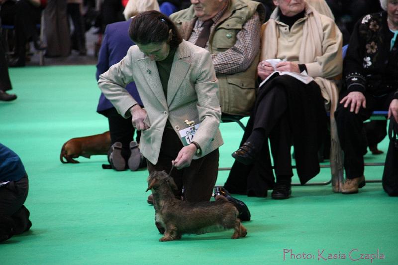 Crufts2011_2 1280.jpg